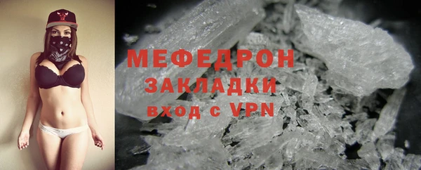 индика Алексин