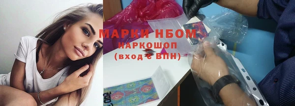 индика Алексин