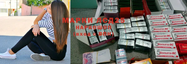 индика Алексин