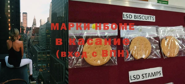 индика Алексин