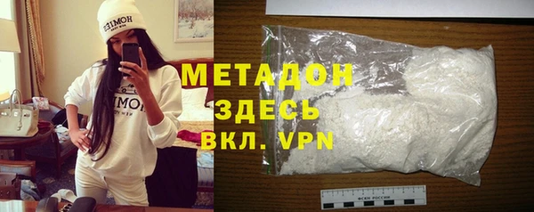 индика Алексин