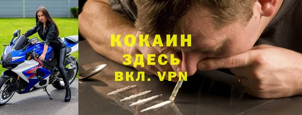 индика Алексин