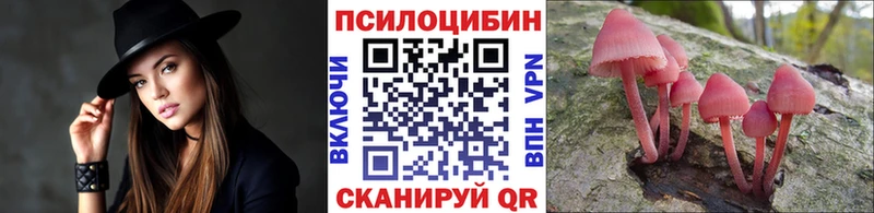 кракен зеркало Поронайск Псилоцибиновые грибы мицелий
